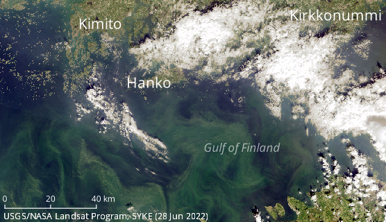 Cyanobacteria observed by a satellite